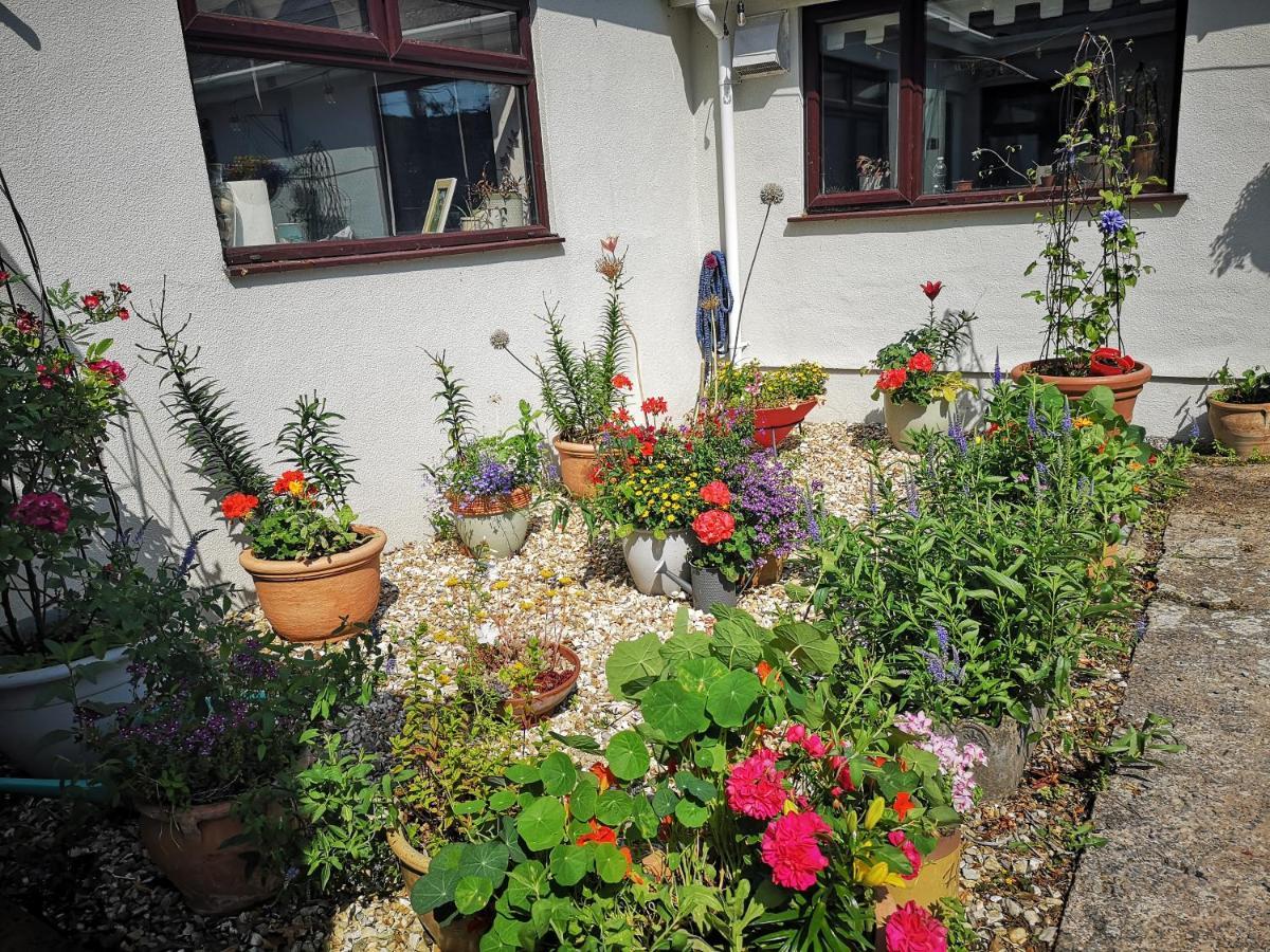Y Cuddfan Gower Bed & Breakfast Swansea Luaran gambar